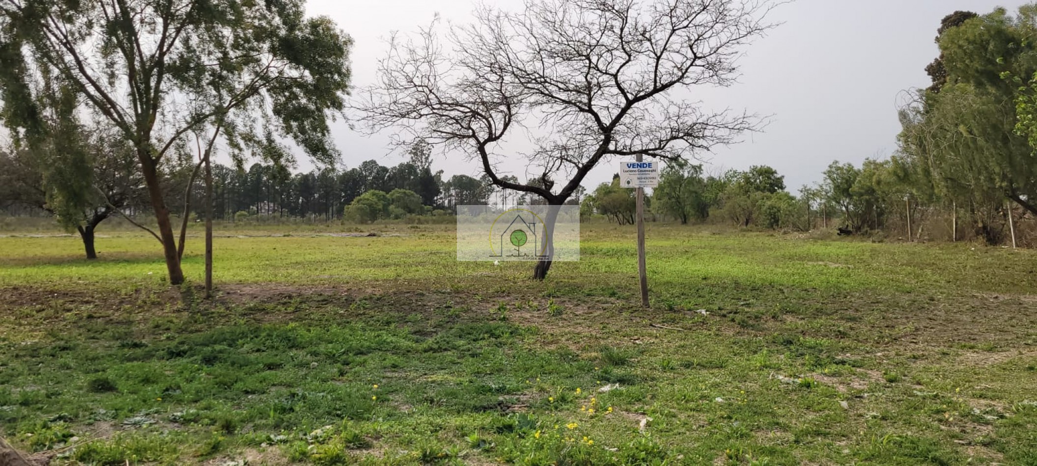 VENTA de TERRENOS - PEDRO MARTINEZ, PARANA